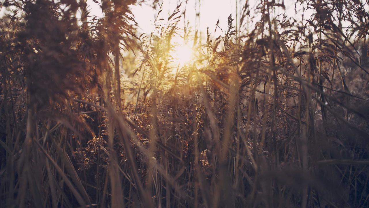开运体育介绍 - 开运体育app登录 下载 入口官网
